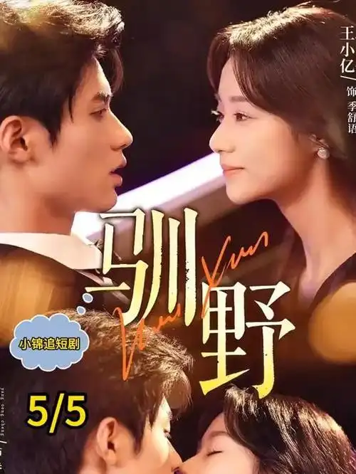韩国悬疑短剧汉江夜话海报